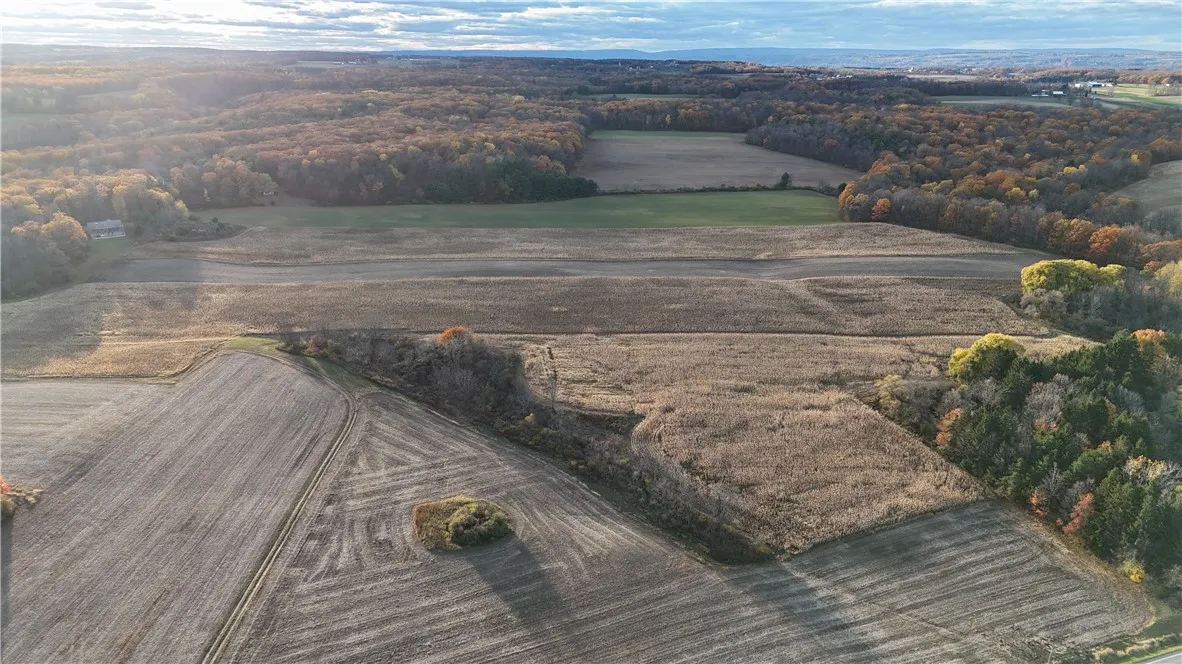 3356 Himrod Road, Milo, New York 14842, Milo, New York 14842, ,Land,For Sale,3356 Himrod Road, Milo, New York 14842,0,R1650901
