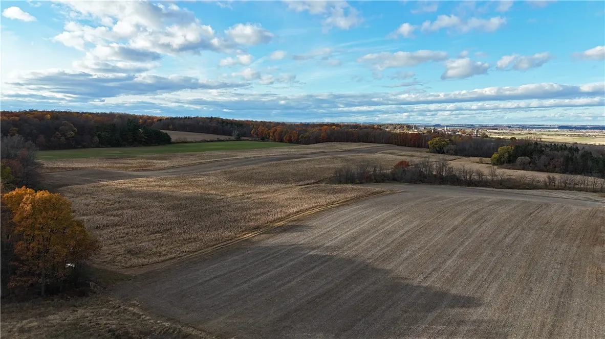 3356 Himrod Road, Milo, New York 14842, Milo, New York 14842, ,Land,For Sale,3356 Himrod Road, Milo, New York 14842,0,R1650901