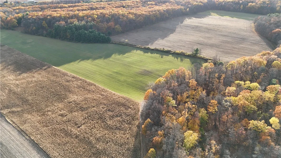 3356 Himrod Road, Milo, New York 14842, Milo, New York 14842, ,Land,For Sale,3356 Himrod Road, Milo, New York 14842,0,R1650901