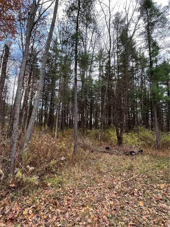 6101 Bishop Corners Road, Hector, New York 14841, Hector, New York 14841, 3 Bedrooms Bedrooms, 8 Rooms Rooms,2 BathroomsBathrooms,Residential,For Sale,6101 Bishop Corners Road, Hector, New York 14841,0,R1650896