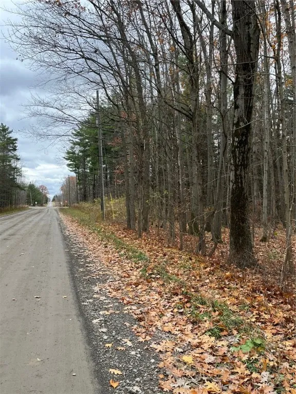 6101 Bishop Corners Road, Hector, New York 14841, Hector, New York 14841, 3 Bedrooms Bedrooms, 8 Rooms Rooms,2 BathroomsBathrooms,Residential,For Sale,6101 Bishop Corners Road, Hector, New York 14841,0,R1650896