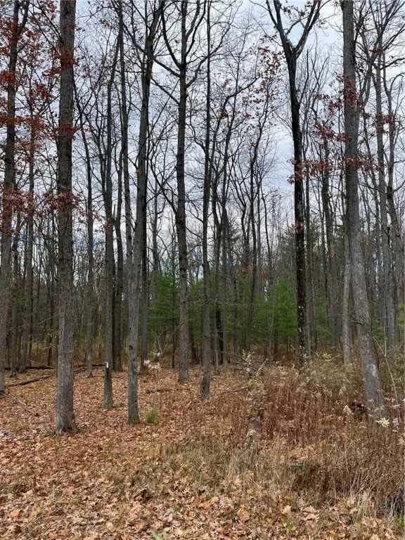 6101 Bishop Corners Road, Hector, New York 14841, Hector, New York 14841, 3 Bedrooms Bedrooms, 8 Rooms Rooms,2 BathroomsBathrooms,Residential,For Sale,6101 Bishop Corners Road, Hector, New York 14841,0,R1650896