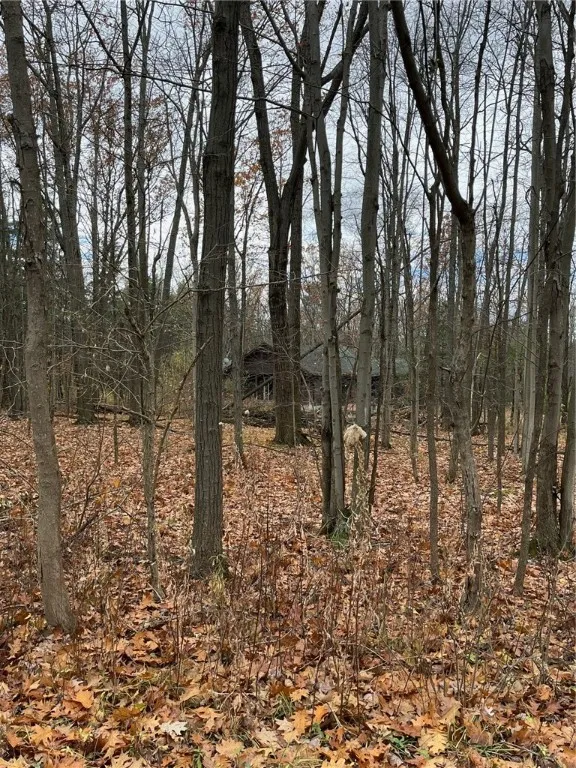 6101 Bishop Corners Road, Hector, New York 14841, Hector, New York 14841, 3 Bedrooms Bedrooms, 8 Rooms Rooms,2 BathroomsBathrooms,Residential,For Sale,6101 Bishop Corners Road, Hector, New York 14841,0,R1650896