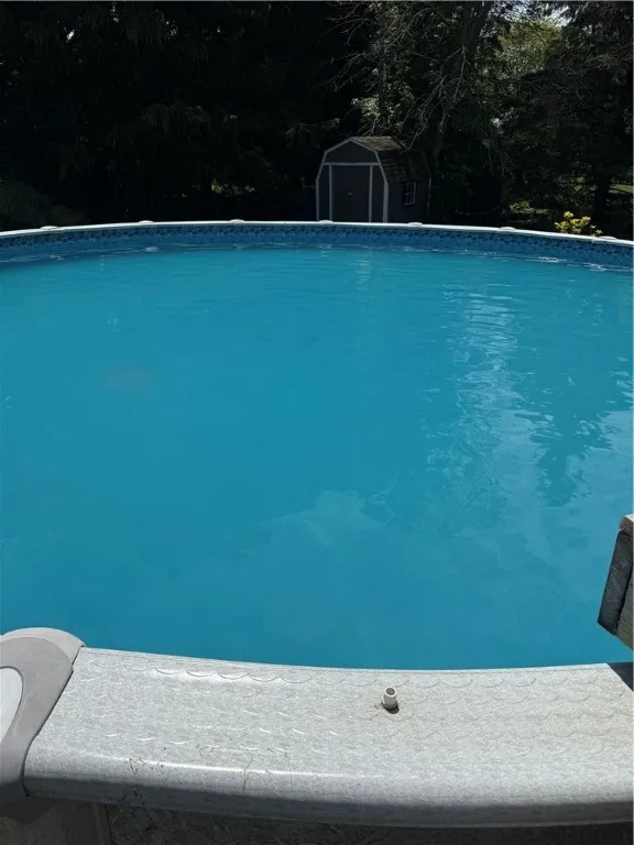 pool in the summer