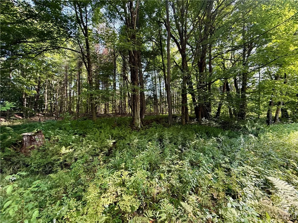 2888 County Route 17, Williamstown, New York 13493, Williamstown, New York 13493, 2 Bedrooms Bedrooms, 5 Rooms Rooms,1 BathroomBathrooms,Residential,For Sale,2888 County Route 17, Williamstown, New York 13493,0,S1636824