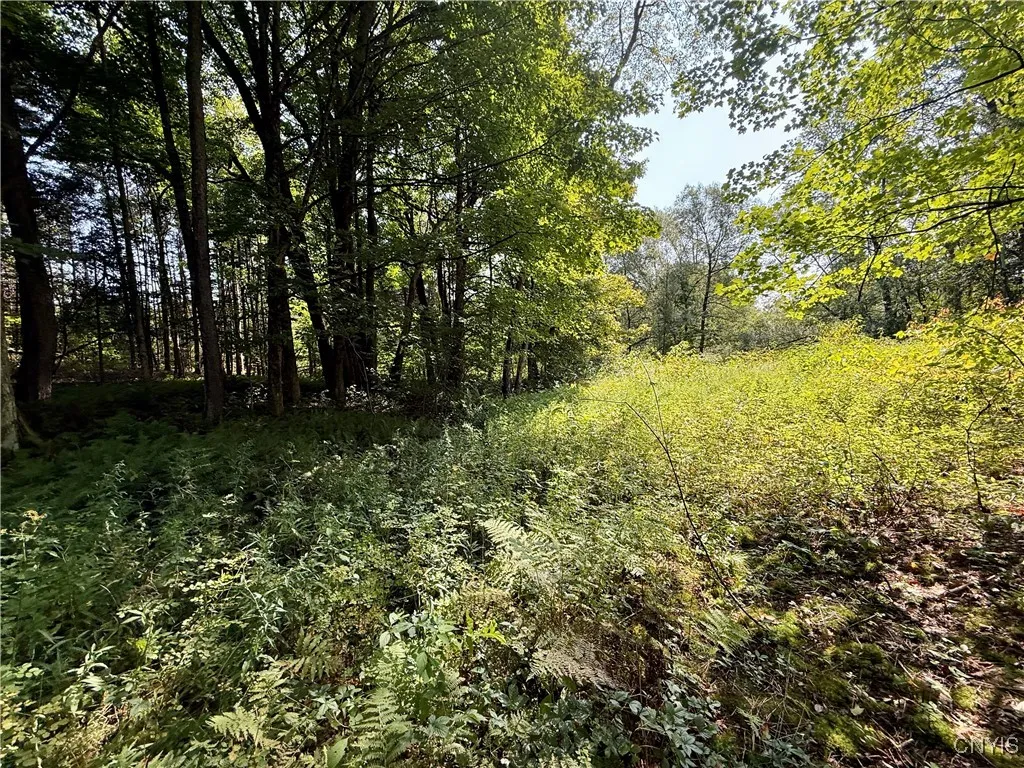 2888 County Route 17, Williamstown, New York 13493, Williamstown, New York 13493, 2 Bedrooms Bedrooms, 5 Rooms Rooms,1 BathroomBathrooms,Residential,For Sale,2888 County Route 17, Williamstown, New York 13493,0,S1636824