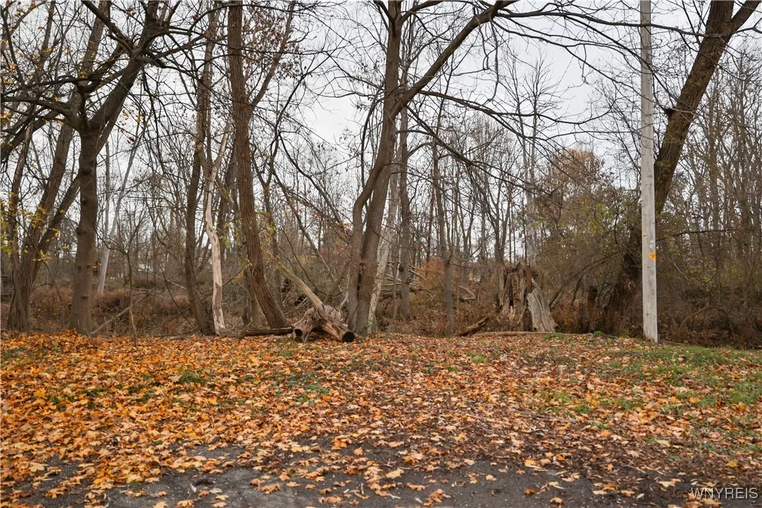 86 Milton Avenue, West Seneca, New York 14224, West Seneca, New York 14224, ,Land,For Sale,86 Milton Avenue, West Seneca, New York 14224,0,B1650935