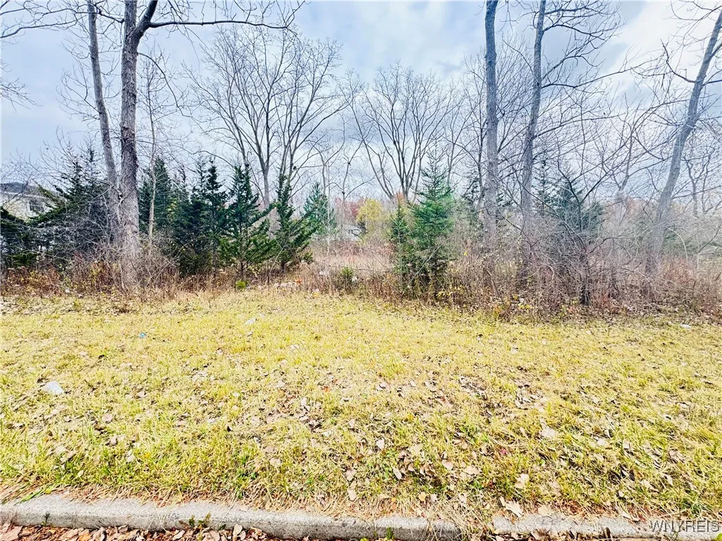 46 Fairgreen Drive, Amherst, New York 14228, Amherst, New York 14228, ,Land,For Sale,46 Fairgreen Drive, Amherst, New York 14228,0,B1651042