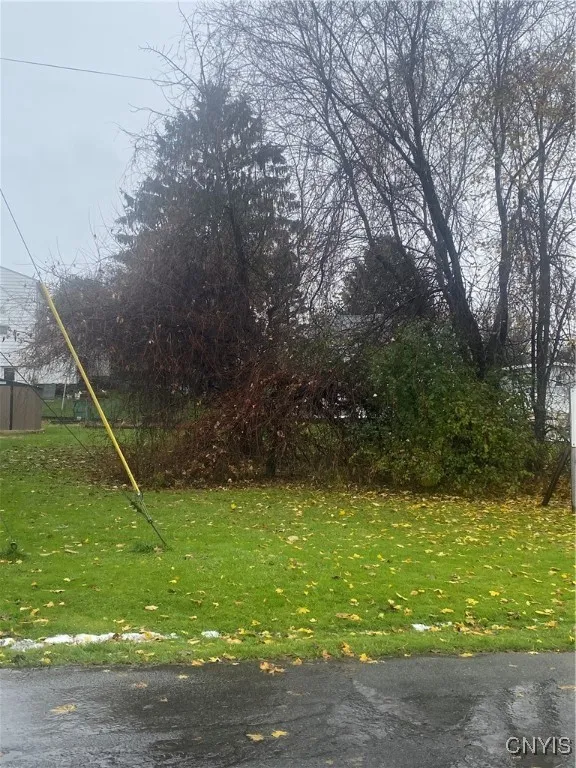 Niagara Avenue, Geddes, New York 13209, Geddes, New York 13209, ,Land,For Sale,Niagara Avenue, Geddes, New York 13209,0,S1650265