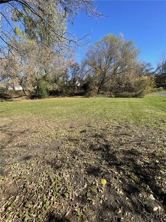 Backyard looking south.