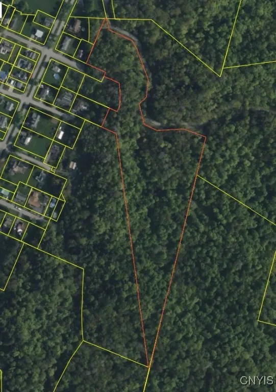 Buchanan St, German Flatts, New York 13357, German Flatts, New York 13357, ,Land,For Sale,Buchanan St, German Flatts, New York 13357,0,S1651113