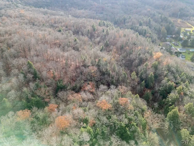 Buchanan St, German Flatts, New York 13357, German Flatts, New York 13357, ,Land,For Sale,Buchanan St, German Flatts, New York 13357,0,S1651113