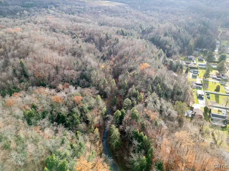 Buchanan St, German Flatts, New York 13357, German Flatts, New York 13357, ,Land,For Sale,Buchanan St, German Flatts, New York 13357,0,S1651113