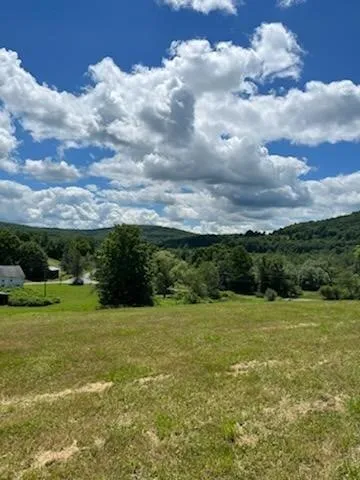 39 Sherman Hill Road, Sidney, New York 13839, Sidney, New York 13839, 3 Bedrooms Bedrooms, ,1 BathroomBathrooms,Land,For Sale,39 Sherman Hill Road, Sidney, New York 13839,0,R1650696