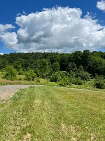 39 Sherman Hill Road, Sidney, New York 13839, Sidney, New York 13839, 3 Bedrooms Bedrooms, ,1 BathroomBathrooms,Land,For Sale,39 Sherman Hill Road, Sidney, New York 13839,0,R1650696