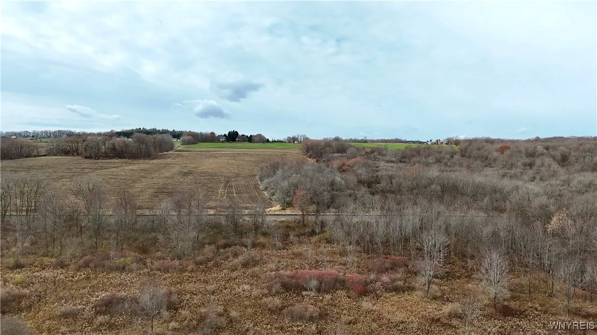 Wyoming Street, Warsaw, New York 14569, Warsaw, New York 14569, ,Land,For Sale,Wyoming Street, Warsaw, New York 14569,0,B1650493