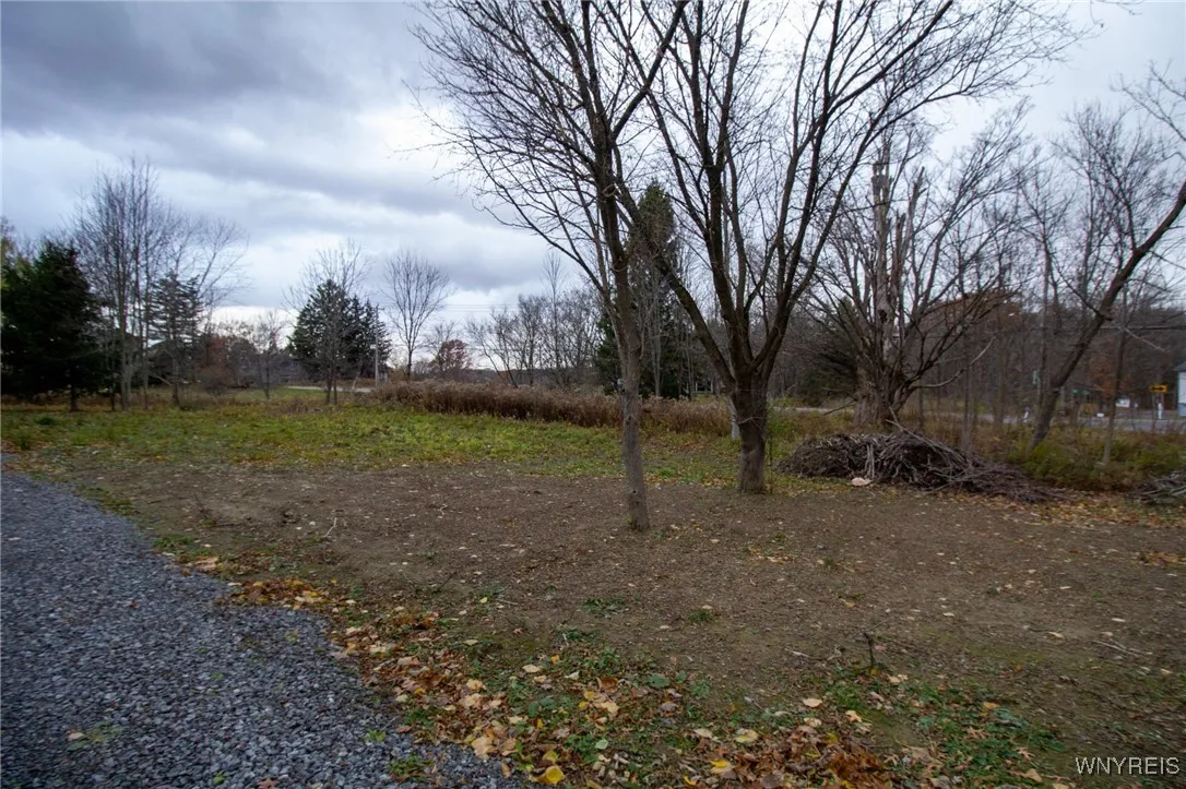 Cole Road, Orchard Park, New York 14127, Orchard Park, New York 14127, ,Land,For Sale,Cole Road, Orchard Park, New York 14127,0,B1650774