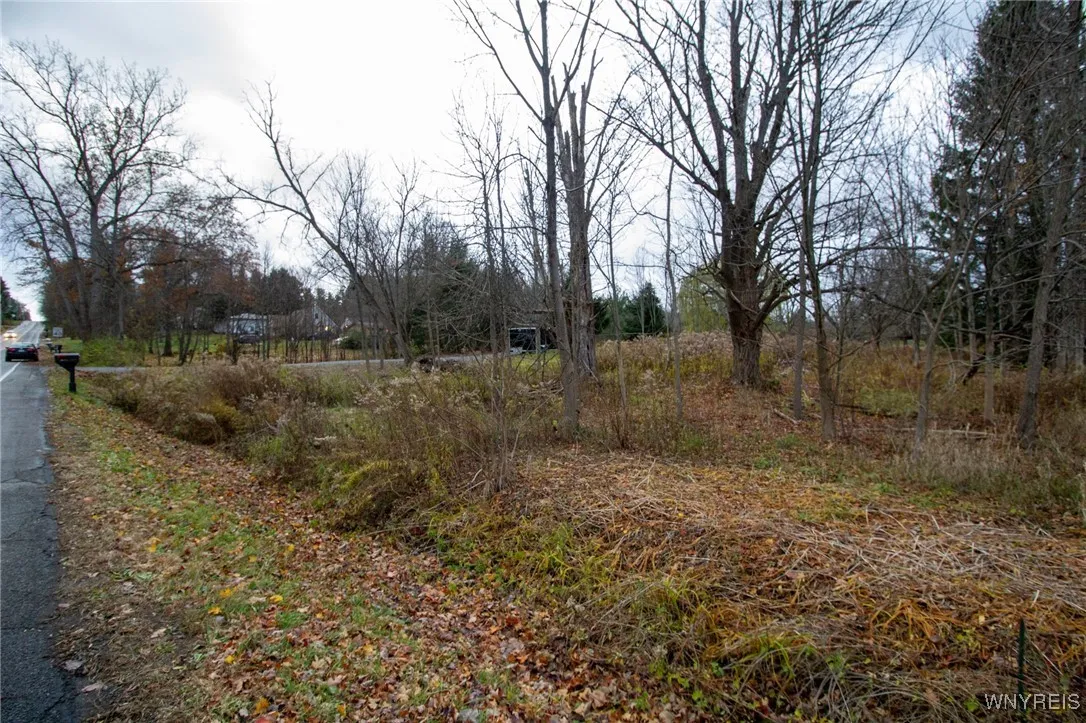 Cole Road, Orchard Park, New York 14127, Orchard Park, New York 14127, ,Land,For Sale,Cole Road, Orchard Park, New York 14127,0,B1650774
