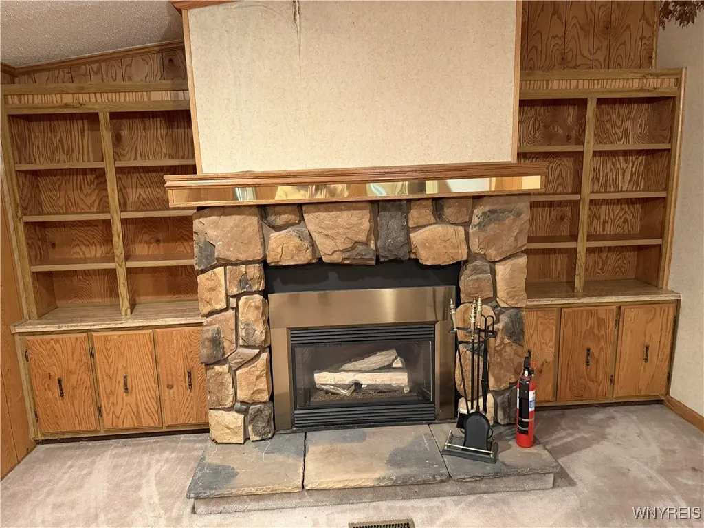 Windsor gas fireplace