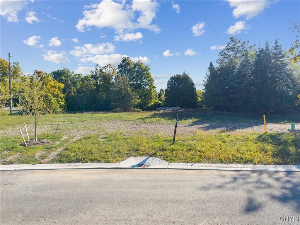 6542 Woodchuck Hill- Lot 8, Dewitt, New York 13078, De Witt, New York 13078, ,Land,For Sale,6542 Woodchuck Hill- Lot 8, Dewitt, New York 13078,0,S1651214