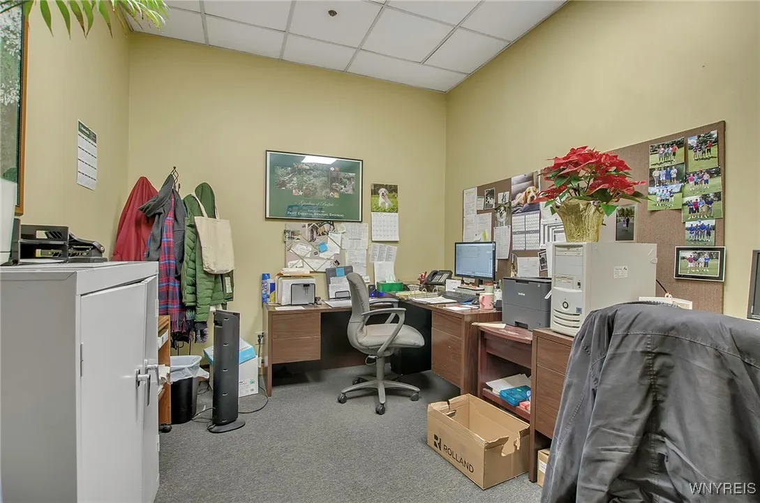 501 Amherst Street, Buffalo, New York 14207, Buffalo, New York 14207, ,Commercial Lease,For Rent,501 Amherst Street, Buffalo, New York 14207,0,B1651366