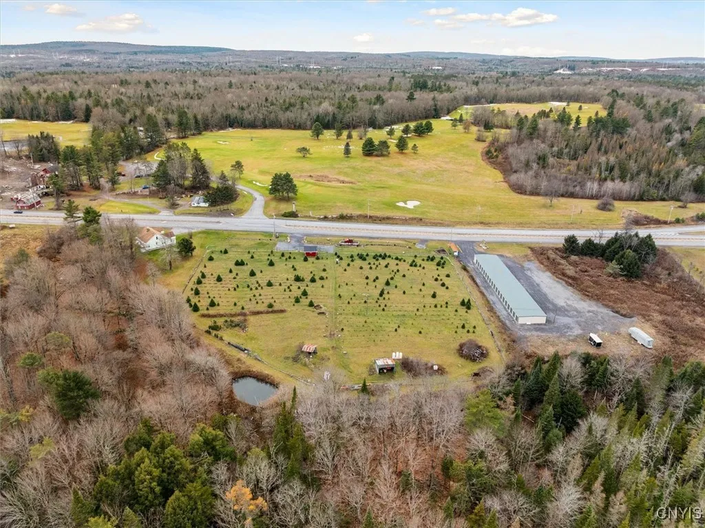 11338 Rt-12, Boonville, New York 13309, Boonville, New York 13309, ,Land,For Sale,11338 Rt-12, Boonville, New York 13309,0,S1651433