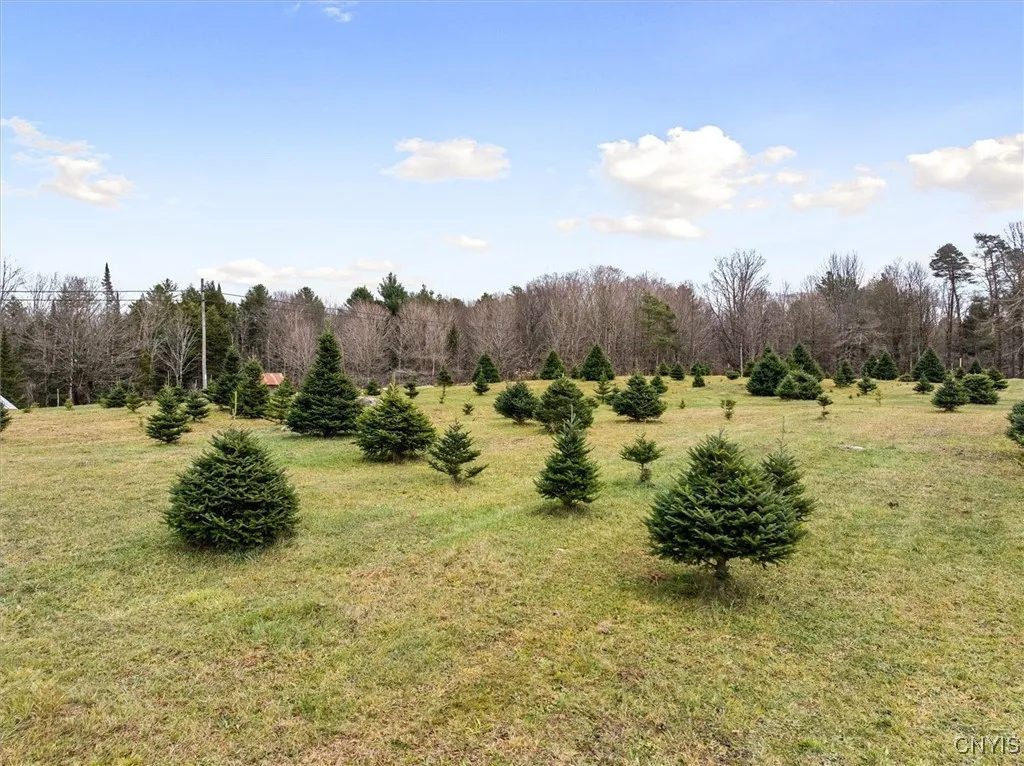 11338 Rt-12, Boonville, New York 13309, Boonville, New York 13309, ,Land,For Sale,11338 Rt-12, Boonville, New York 13309,0,S1651433