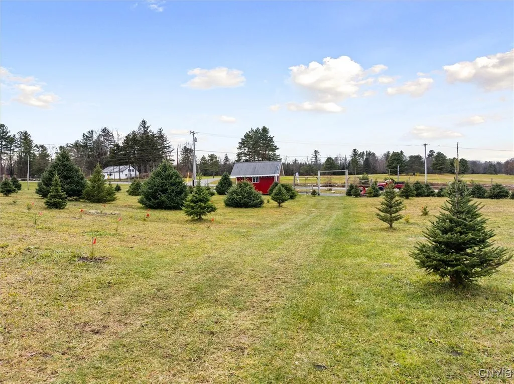 11338 Rt-12, Boonville, New York 13309, Boonville, New York 13309, ,Land,For Sale,11338 Rt-12, Boonville, New York 13309,0,S1651433