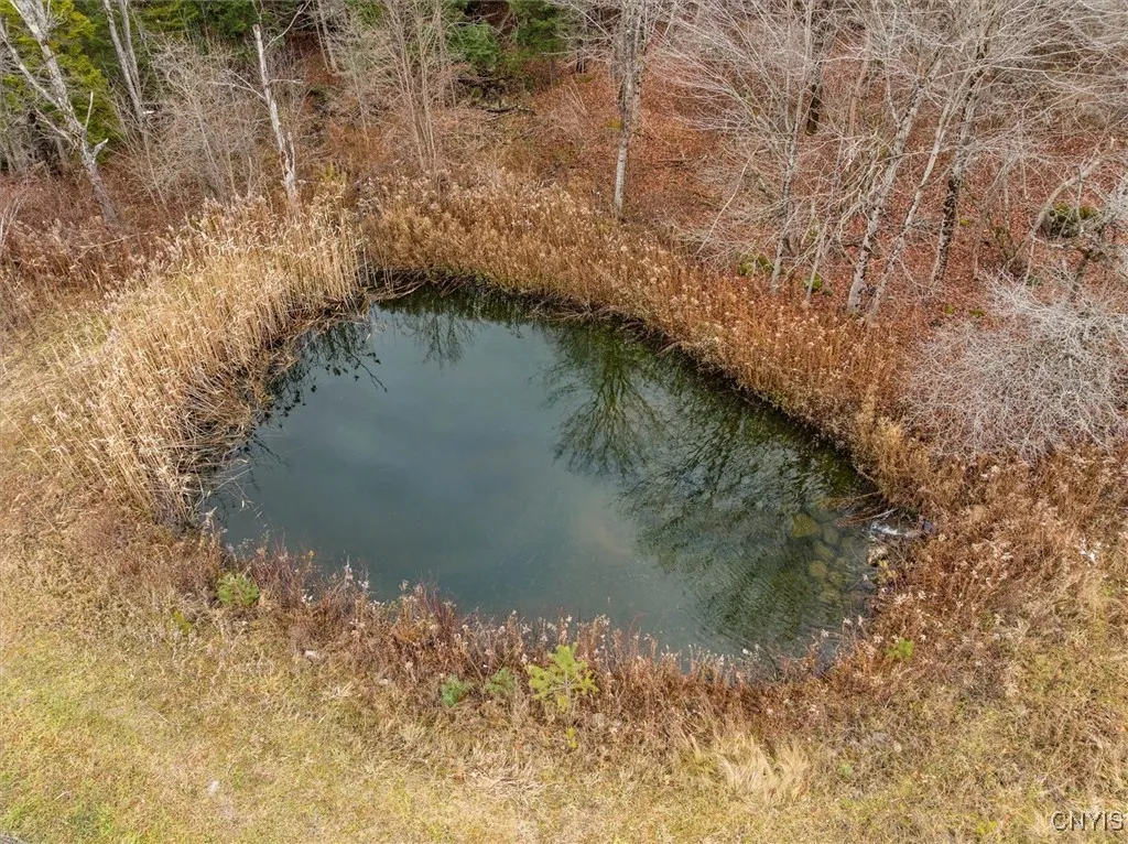11338 Rt-12, Boonville, New York 13309, Boonville, New York 13309, ,Land,For Sale,11338 Rt-12, Boonville, New York 13309,0,S1651433