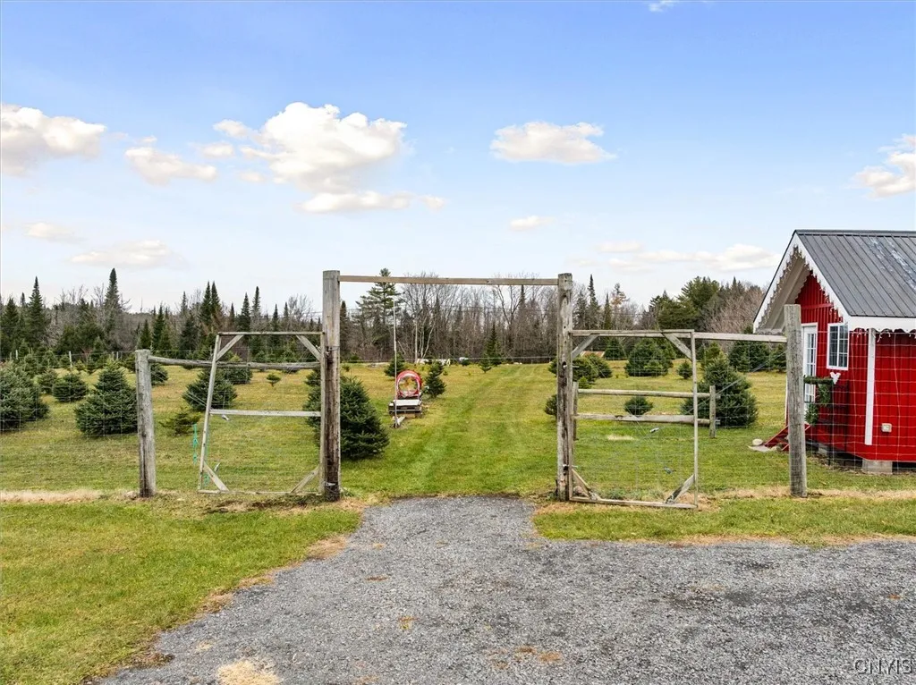 11338 Rt-12, Boonville, New York 13309, Boonville, New York 13309, ,Land,For Sale,11338 Rt-12, Boonville, New York 13309,0,S1651433