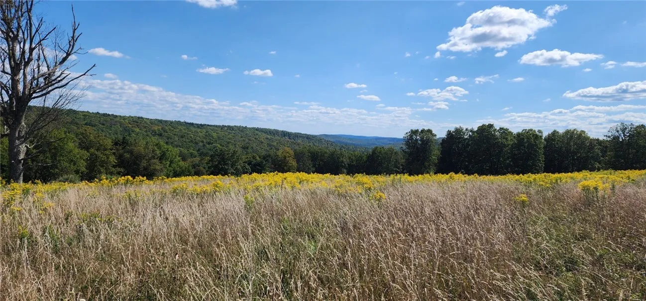 212-a Hill Road, Danby, New York 14001, Danby, New York 14001, 3 Rooms Rooms,Land,For Sale,212-a Hill Road, Danby, New York 14001,0,R1651278