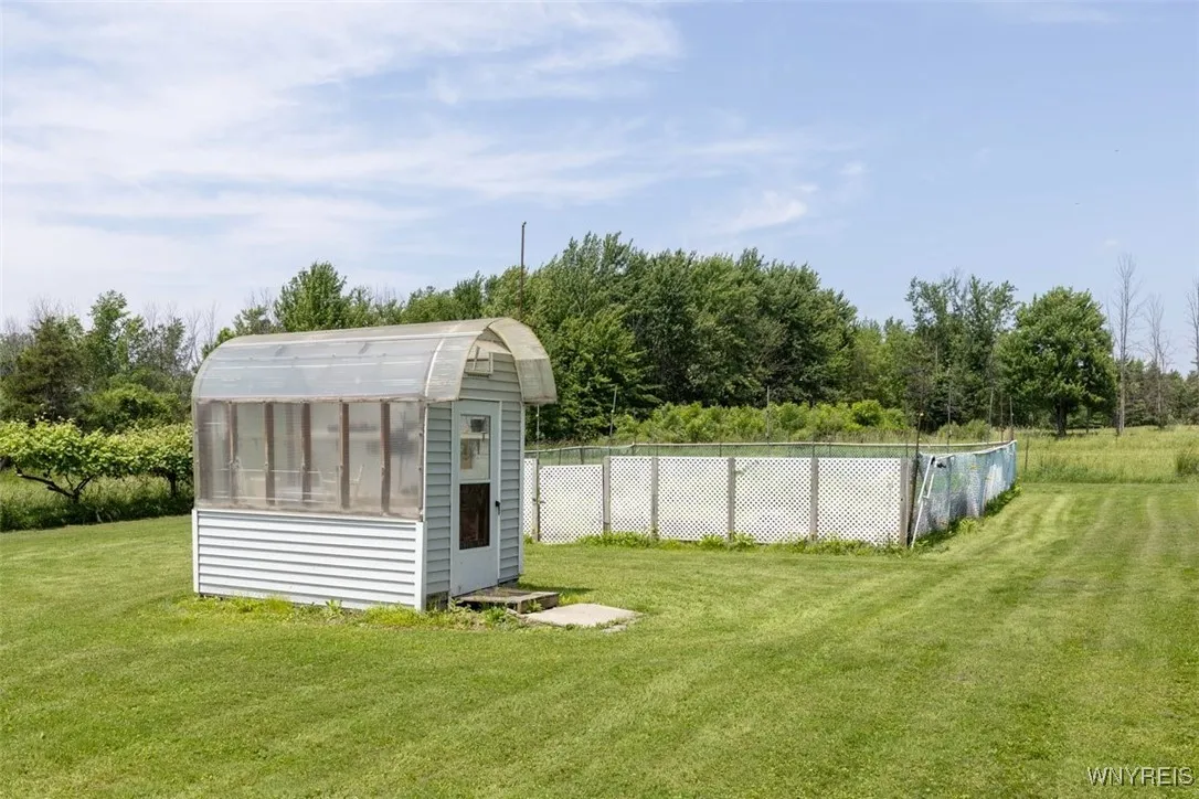 Greenhouse/ Garden