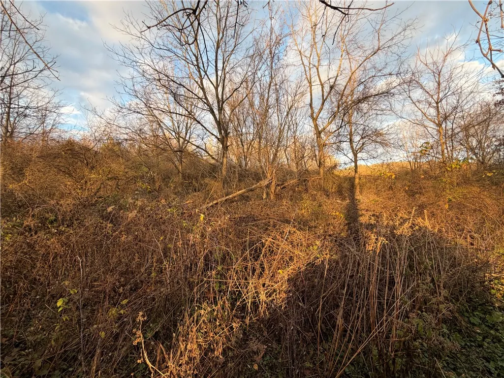 Benson, Victor, New York 14564, Victor, New York 14564, ,Land,For Sale,Benson, Victor, New York 14564,0,R1651620