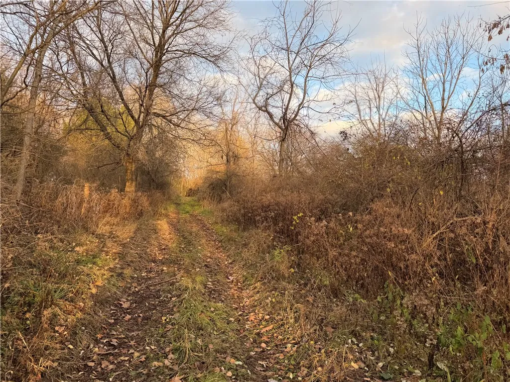 Benson, Victor, New York 14564, Victor, New York 14564, ,Land,For Sale,Benson, Victor, New York 14564,0,R1651620