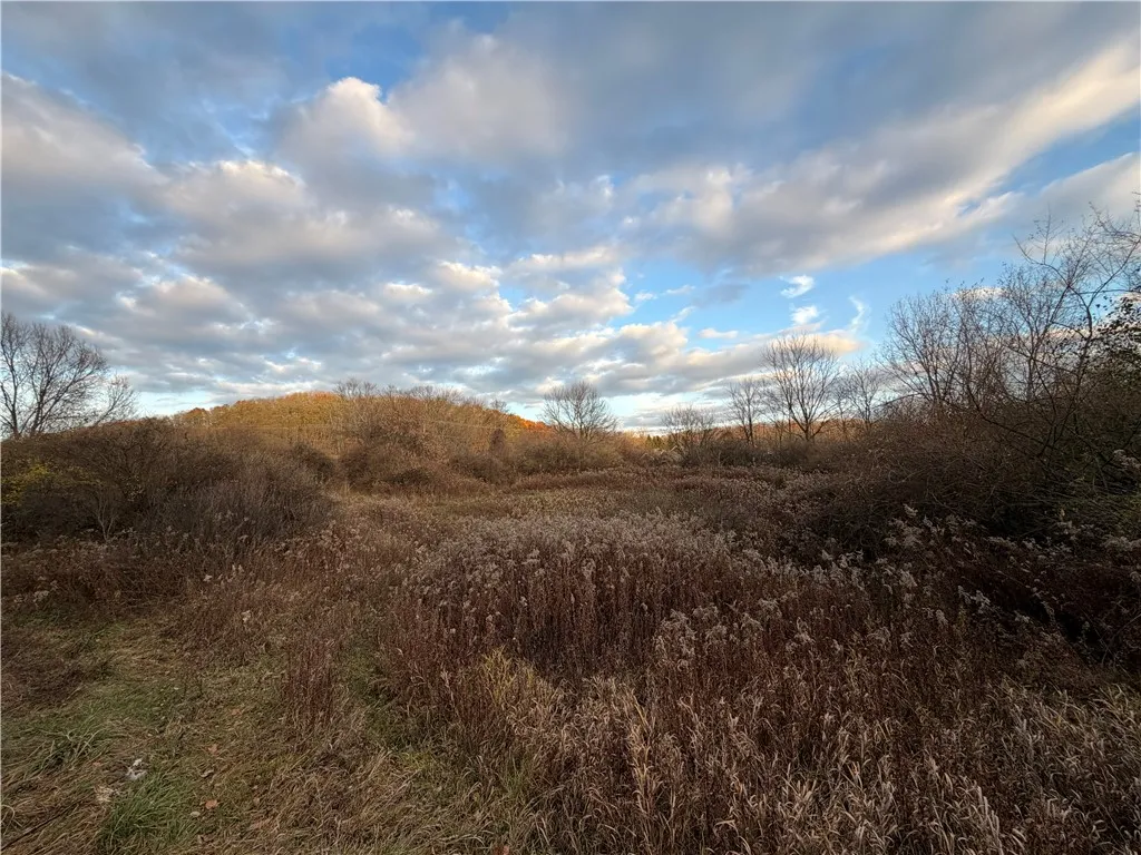 Benson, Victor, New York 14564, Victor, New York 14564, ,Land,For Sale,Benson, Victor, New York 14564,0,R1651620