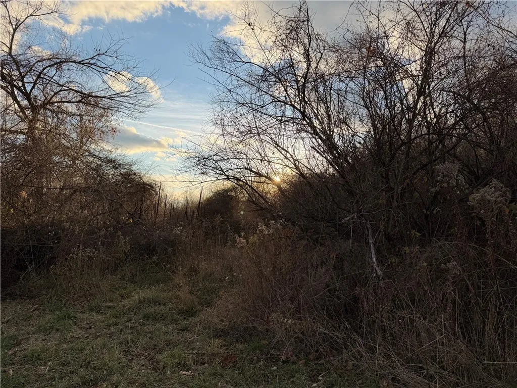 Benson, Victor, New York 14564, Victor, New York 14564, ,Land,For Sale,Benson, Victor, New York 14564,0,R1651620