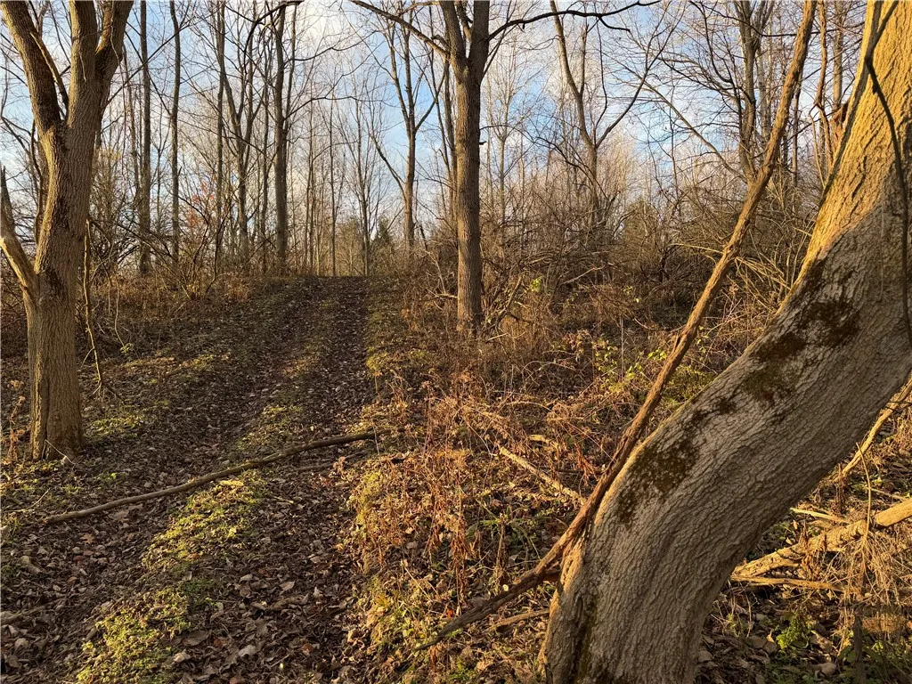 Benson, Victor, New York 14564, Victor, New York 14564, ,Land,For Sale,Benson, Victor, New York 14564,0,R1651620