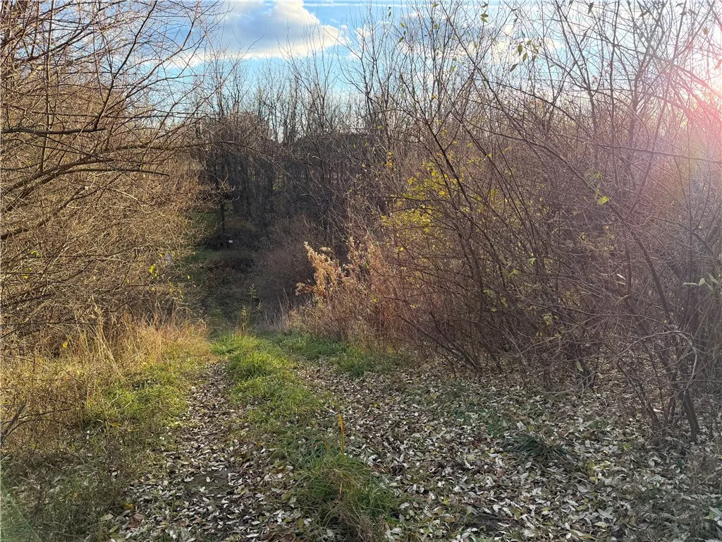 Benson, Victor, New York 14564, Victor, New York 14564, ,Land,For Sale,Benson, Victor, New York 14564,0,R1651620