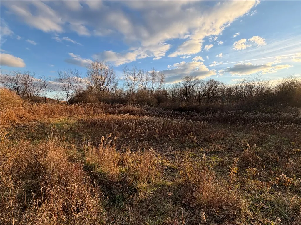 Benson, Victor, New York 14564, Victor, New York 14564, ,Land,For Sale,Benson, Victor, New York 14564,0,R1651620