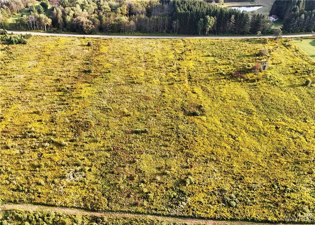 00 Clark Road, Lyndon, New York 14737, Lyndon, New York 14737, ,Land,For Sale,00 Clark Road, Lyndon, New York 14737,0,B1651592