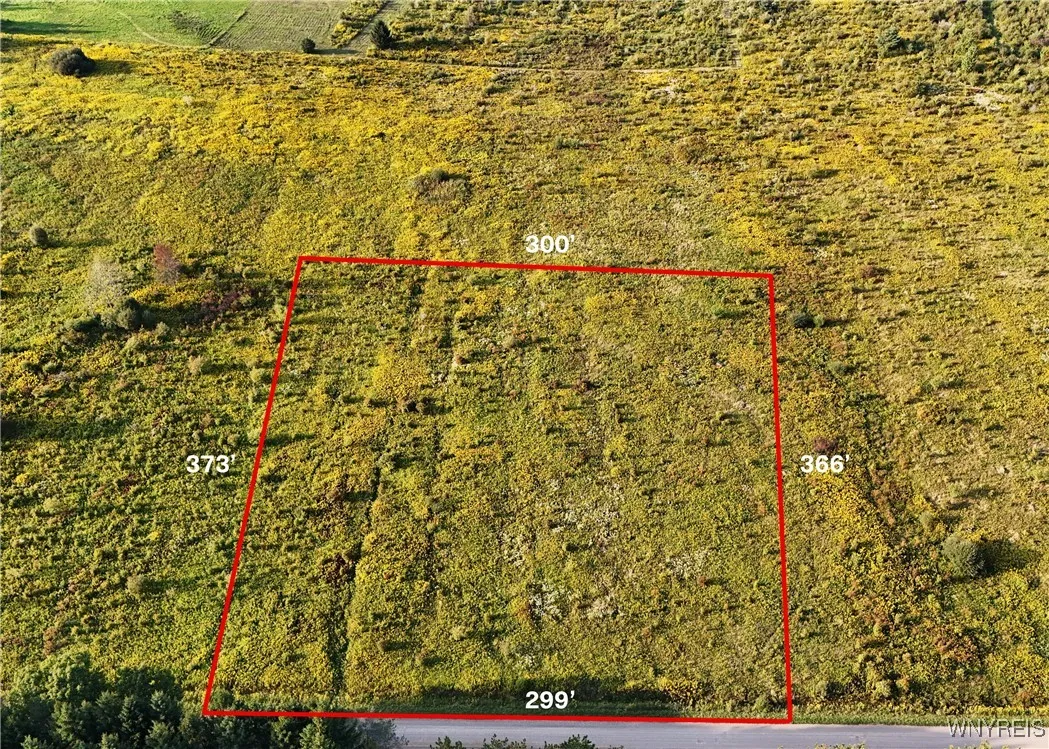 00 Clark Road, Lyndon, New York 14737, Lyndon, New York 14737, ,Land,For Sale,00 Clark Road, Lyndon, New York 14737,0,B1651592