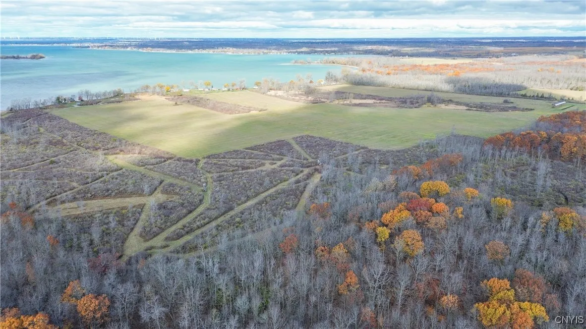 25659 Fire Road 22, Lyme, New York 13693, Lyme, New York 13693, ,Land,For Sale,25659 Fire Road 22, Lyme, New York 13693,0,S1650764