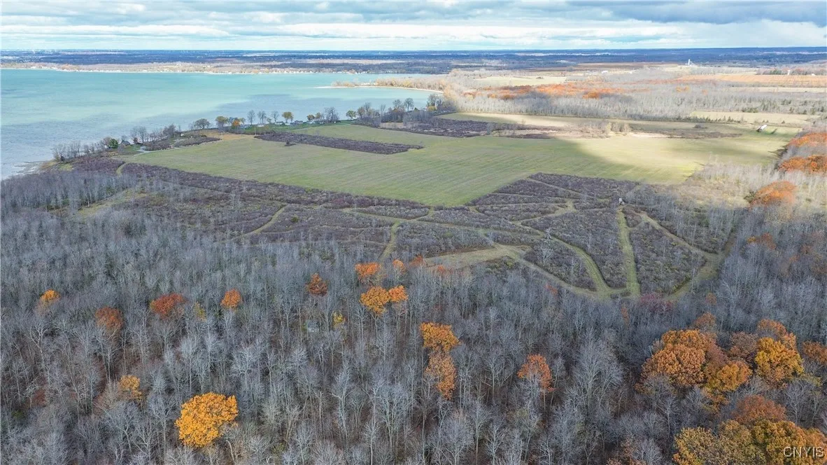 25659 Fire Road 22, Lyme, New York 13693, Lyme, New York 13693, ,Land,For Sale,25659 Fire Road 22, Lyme, New York 13693,0,S1650764