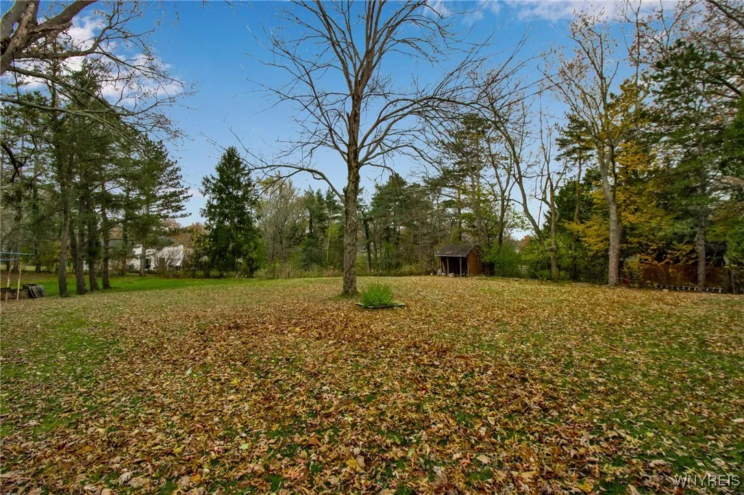 6689 Jewett Holmwood Road, Orchard Park, New York, Orchard Park, New York 14127, 3 Bedrooms Bedrooms, 7 Rooms Rooms,1 BathroomBathrooms,Residential,For Sale,6689 Jewett Holmwood Road, Orchard Park, New York ,0,B1651721