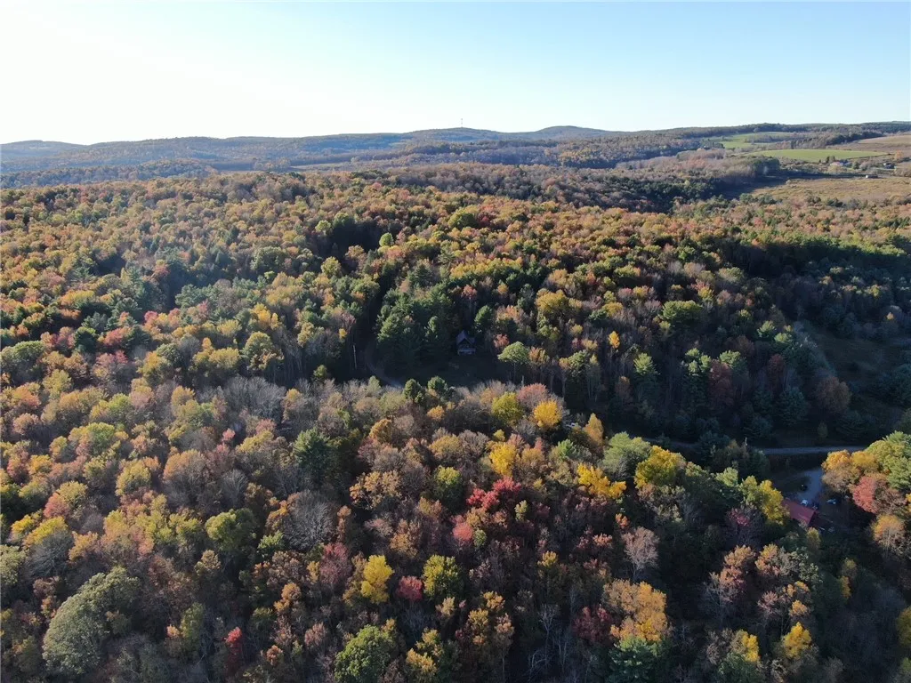 260 Log Cabin Lane, New Berlin, New York 13843, New Berlin, New York 13843, 3 Bedrooms Bedrooms, 6 Rooms Rooms,1 BathroomBathrooms,Residential,For Sale,260 Log Cabin Lane, New Berlin, New York 13843,0,R1651222