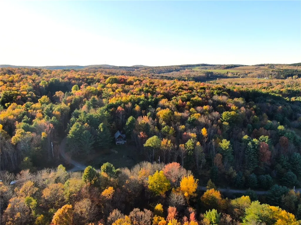 260 Log Cabin Lane, New Berlin, New York 13843, New Berlin, New York 13843, 3 Bedrooms Bedrooms, 6 Rooms Rooms,1 BathroomBathrooms,Residential,For Sale,260 Log Cabin Lane, New Berlin, New York 13843,0,R1651222