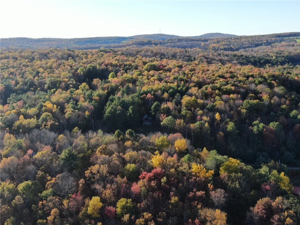 260 Log Cabin Lane, New Berlin, New York 13843, New Berlin, New York 13843, 3 Bedrooms Bedrooms, 6 Rooms Rooms,1 BathroomBathrooms,Residential,For Sale,260 Log Cabin Lane, New Berlin, New York 13843,0,R1651222