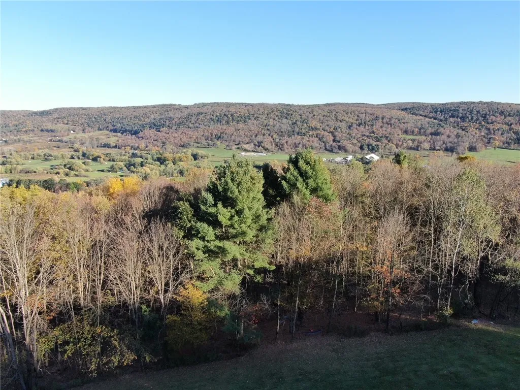 260 Log Cabin Lane, New Berlin, New York 13843, New Berlin, New York 13843, 3 Bedrooms Bedrooms, 6 Rooms Rooms,1 BathroomBathrooms,Residential,For Sale,260 Log Cabin Lane, New Berlin, New York 13843,0,R1651222