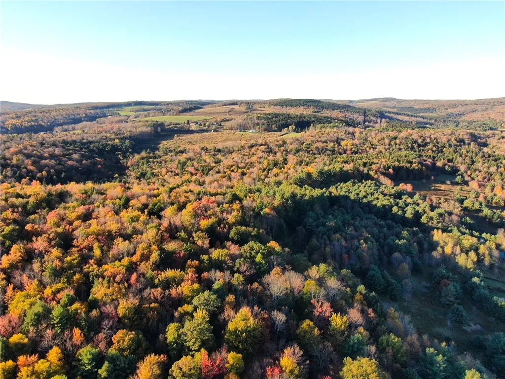 260 Log Cabin Lane, New Berlin, New York 13843, New Berlin, New York 13843, 3 Bedrooms Bedrooms, 6 Rooms Rooms,1 BathroomBathrooms,Residential,For Sale,260 Log Cabin Lane, New Berlin, New York 13843,0,R1651222