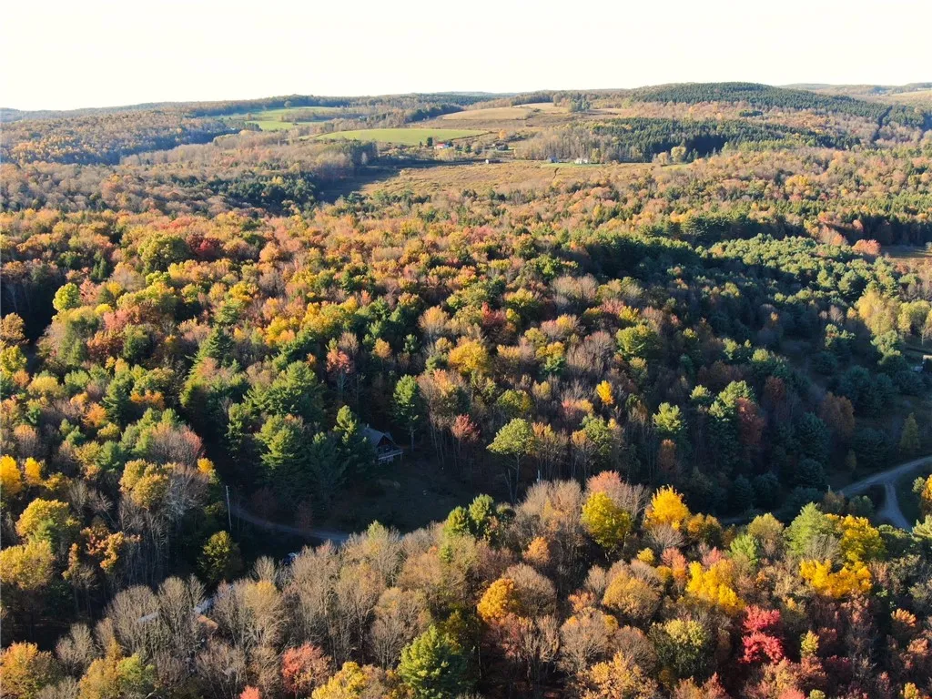 260 Log Cabin Lane, New Berlin, New York 13843, New Berlin, New York 13843, 3 Bedrooms Bedrooms, 6 Rooms Rooms,1 BathroomBathrooms,Residential,For Sale,260 Log Cabin Lane, New Berlin, New York 13843,0,R1651222